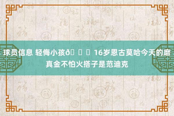 球员信息 轻侮小孩😂16岁恩古莫哈今天的磨真金不怕火搭子是范迪克