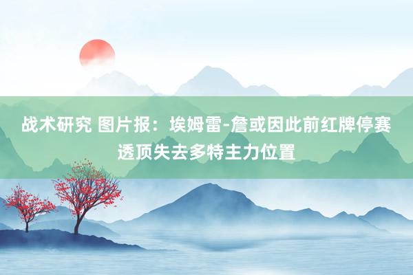 战术研究 图片报：埃姆雷-詹或因此前红牌停赛透顶失去多特主力位置