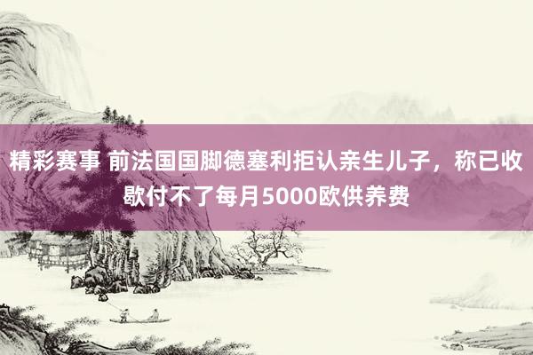 精彩赛事 前法国国脚德塞利拒认亲生儿子，称已收歇付不了每月5000欧供养费