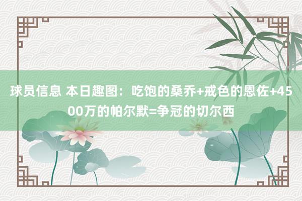 球员信息 本日趣图：吃饱的桑乔+戒色的恩佐+4500万的帕尔默=争冠的切尔西