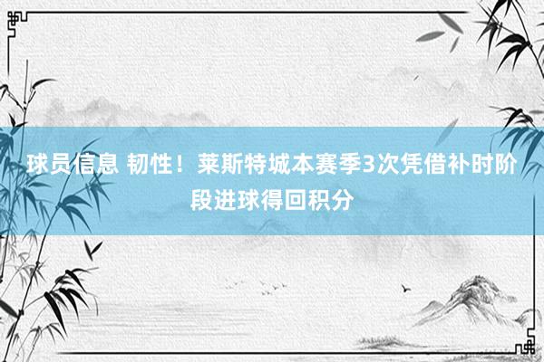 球员信息 韧性！莱斯特城本赛季3次凭借补时阶段进球得回积分