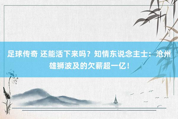 足球传奇 还能活下来吗？知情东说念主士：沧州雄狮波及的欠薪超一亿！