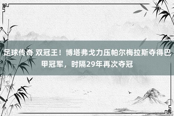 足球传奇 双冠王！博塔弗戈力压帕尔梅拉斯夺得巴甲冠军，时隔29年再次夺冠