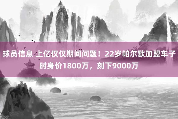 球员信息 上亿仅仅期间问题！22岁帕尔默加盟车子时身价1800万，刻下9000万