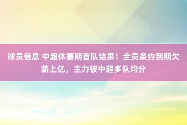 球员信息 中超休赛期首队结果！全员条约到期欠薪上亿，主力被中超多队均分