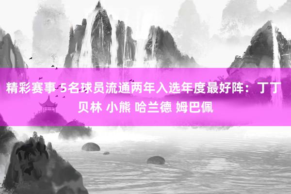 精彩赛事 5名球员流通两年入选年度最好阵：丁丁 贝林 小熊 哈兰德 姆巴佩